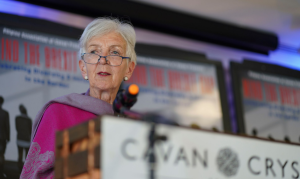 Mind the Brexit Gap Speech of UN Expert Anastasia