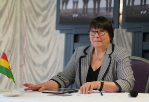 Mind the Brexit Gap Speech of UN Expert Bronagh Hinds