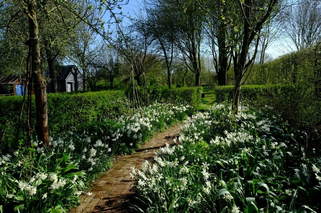 2015 planting roots in cavan