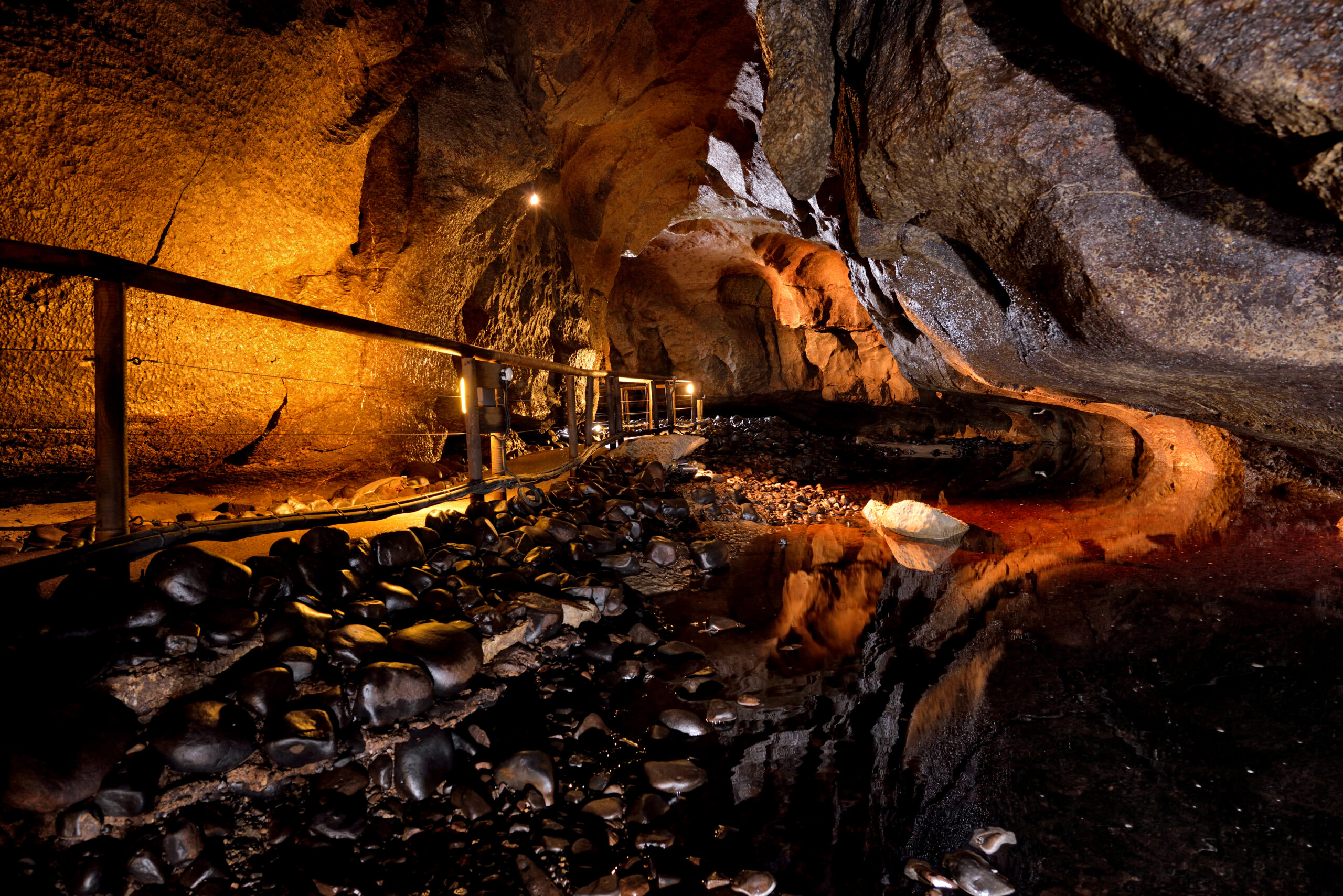 2023 from campervans to ceilis